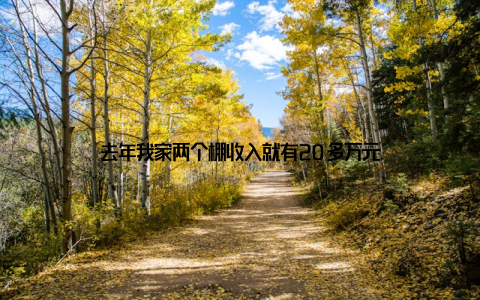 去年我家两个棚收入就有20多万元