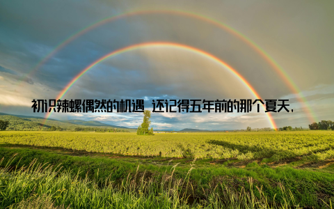 初识辣螺偶然的机遇 还记得五年前的那个夏天, 我还在靠传统渔业谋生, 每天出海捕捞鱼虾贝类, 收入时高时低, 很不稳定