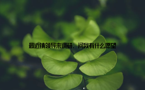 最近镇领导来调研, 问我有什么愿望
