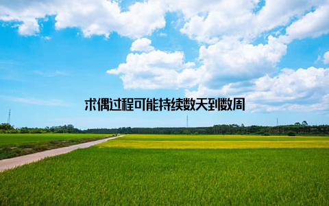 求偶过程可能持续数天到数周