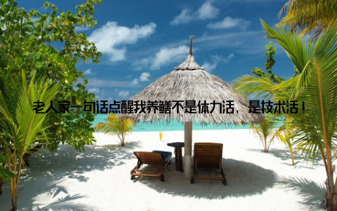 老人家一句话点醒我养鳝不是体力活, 是技术活! 这三招彻底改变了我的养殖方式 三层套养模式——亩产翻三倍 传统单养鳝鱼的池塘, 亩产最多800斤