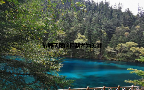 放养密度的控制尤为关键