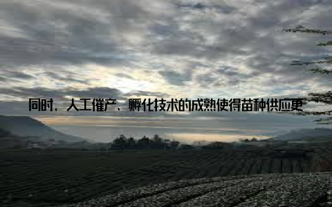 同时, 人工催产、孵化技术的成熟使得苗种供应更加稳定, 解决了传统养殖中因自然繁殖周期长而导致的产能受限问题